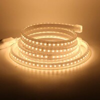 5050 SMD LED 20-22LM Cold White - 3