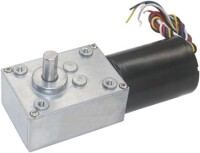 5840-3650.24V 27RPM Brushless DC Worm Gear Reduction Motor With Encoder - 1