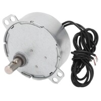 AC110V 4W 49KTYZ Permanent Magnet Synchronous Motor 30RPM - 4