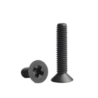 M2-5x8 Black Plastic Nylon Pan Head Phillips Screw - 1