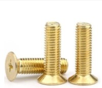 M2.5 10mm Brass Cross Pan Head Screw - 5