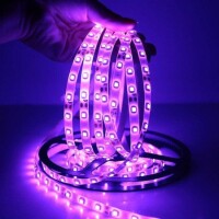 Pink 9mm 12V LED Exposed Light String With High Quality Circuit Board 50LED/Set - 4